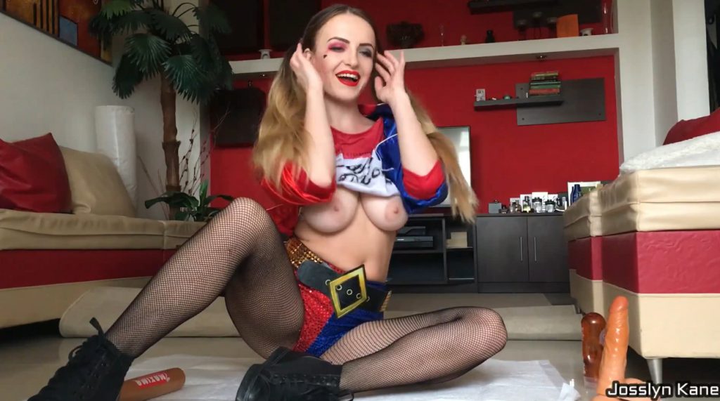 Josslyn Kane - Harley Quinn Is Getting Dirty For Puddin (FULL HD-1080p) 2