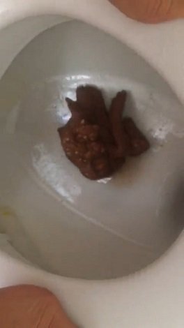 Vegan Linda – Big Shit as Usual (Toilet-Flat) 25.03.2020