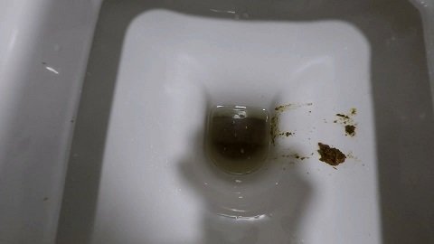 Janet – Public WC Dirty Extreme Poop
