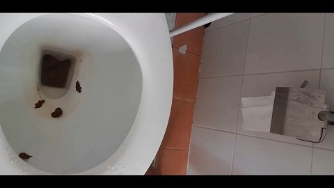 Squatting On The Toilet And Release Creamy Shit (12.12.2020) $23,99 (Premium user request) by MissAnja