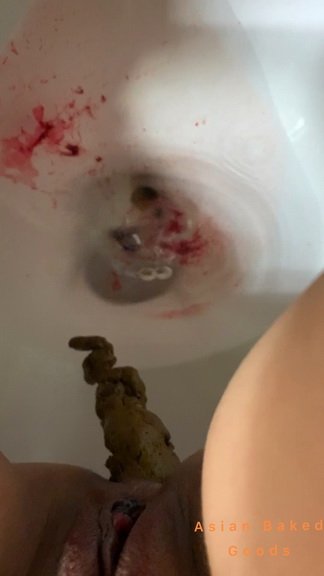 Marinayam19 – Period blood and Poop into public toilet ($12.99 ScatShop)