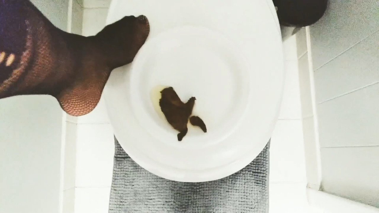 Potty Queen – Quick snack for my bitch