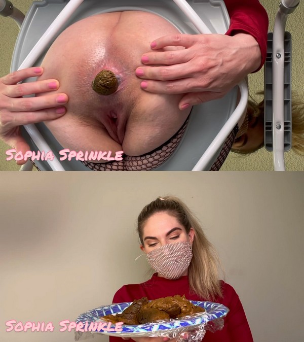 sophiasprinkle – Toilet POV, Slave Self-Feed + JOI!  ($19.99 ScatShop)