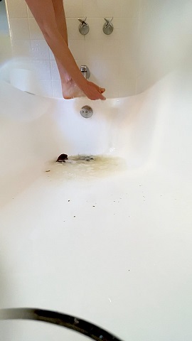 VibeWithMolly – Poop on my feet in tub