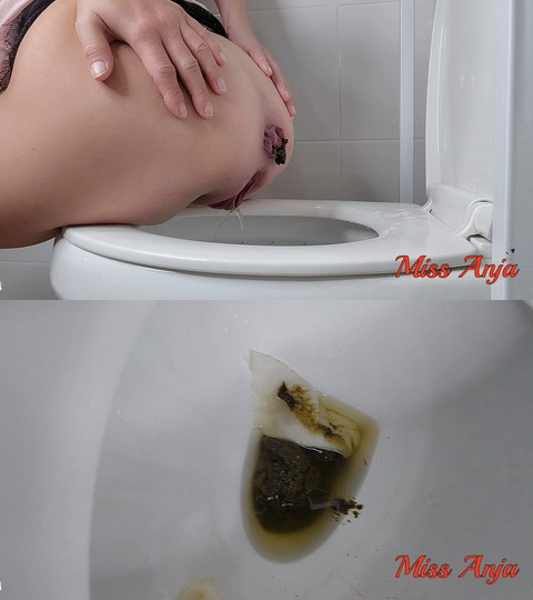 MissAnja – Quick Stickie Toilet Poo And Pissing/Voyeur Style