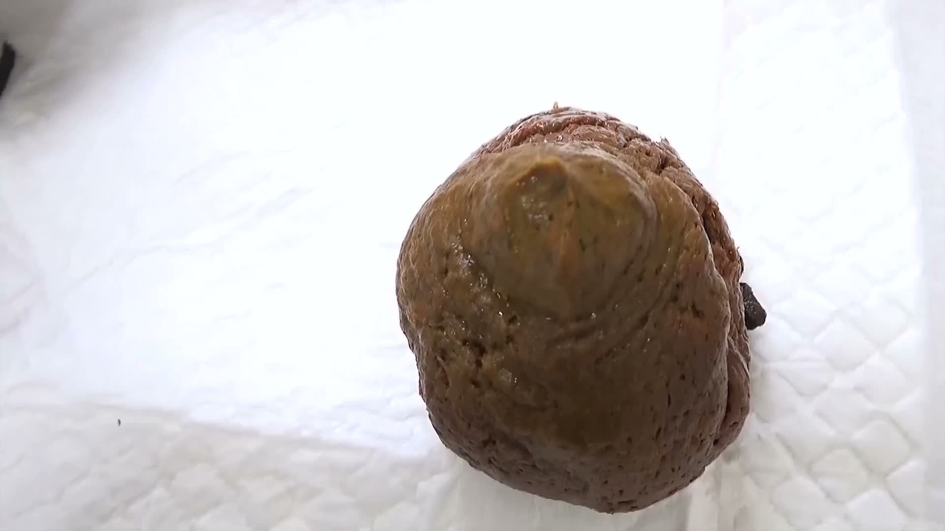 JP Fetish Merchant – Maaya Perfect Poop
